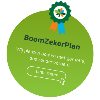 BoomZekerPlan (1)